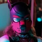 Dokey ๐ฆ ๐ ๐ Animalz, Folsom
